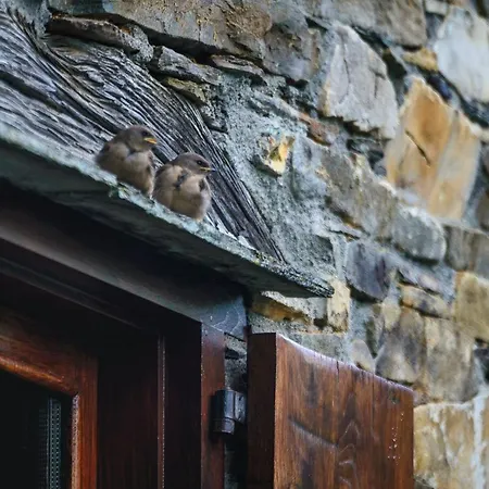 Esquios - Apto. El Pajar * تاراموندِّ