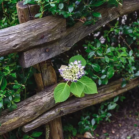 Esquios - Apto. El Pajar * تاراموندِّ